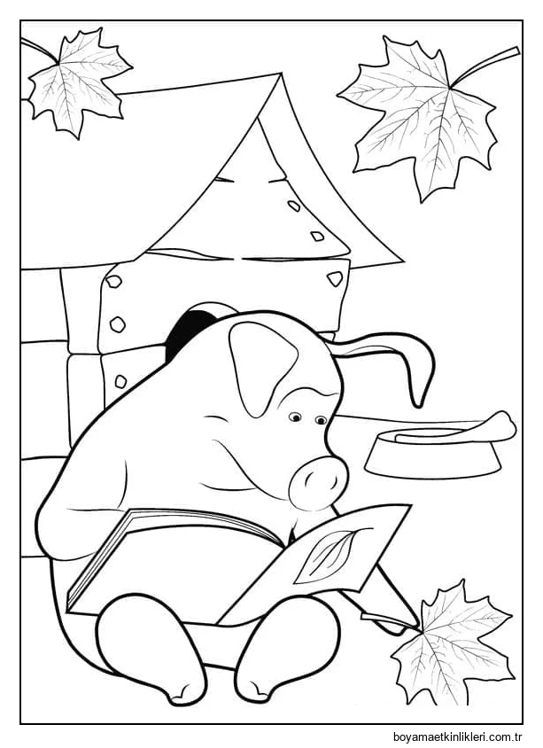 Maşa ve Ayı'daki Rosie