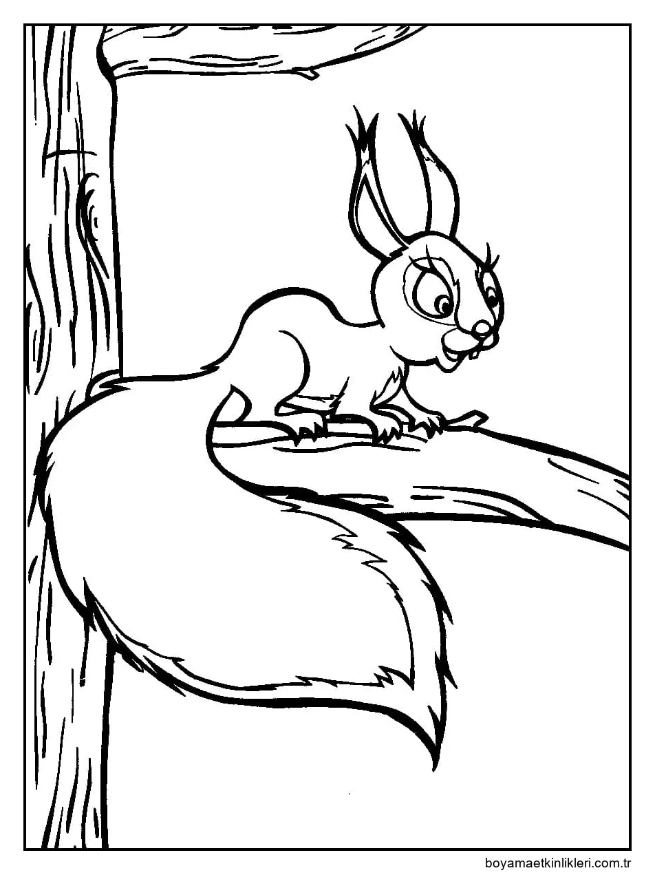 Maşa ve Ayı'dan sincap