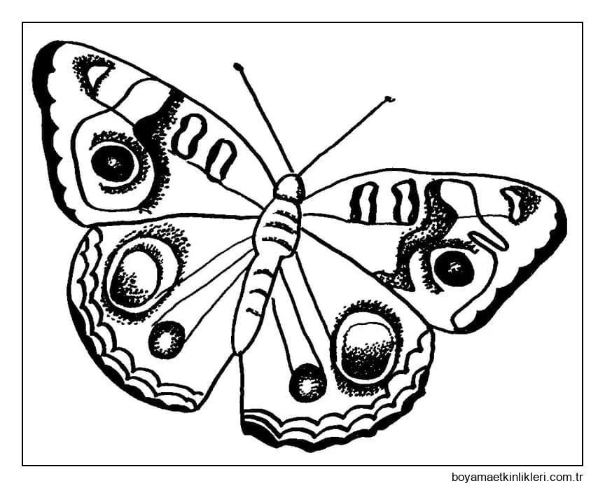 Muhteşem Kelebek Baskısı