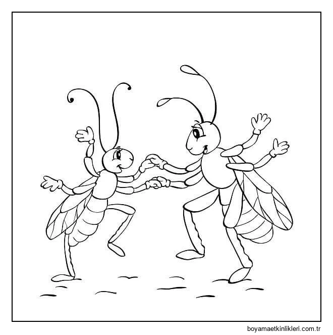 Mutlu Çift Karıncalar