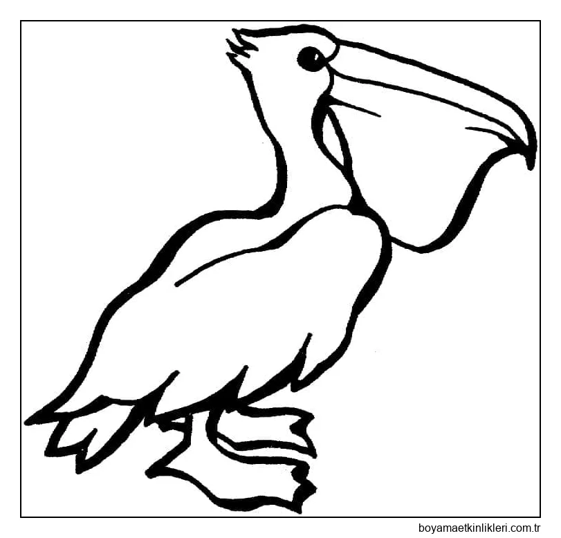 Pelikan ücretsiz resim