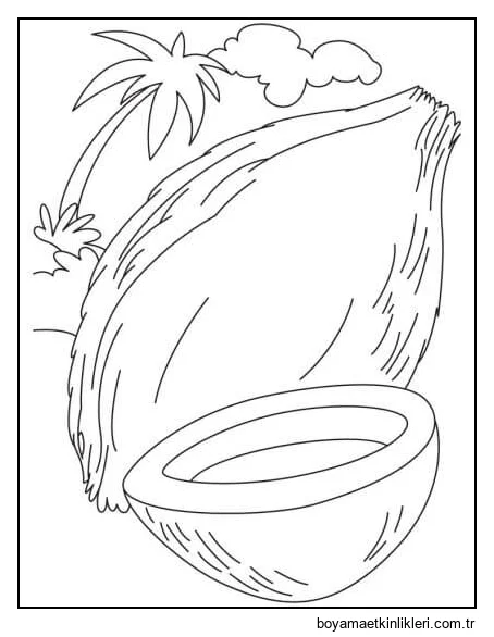 Sahilde Hindistan Cevizi