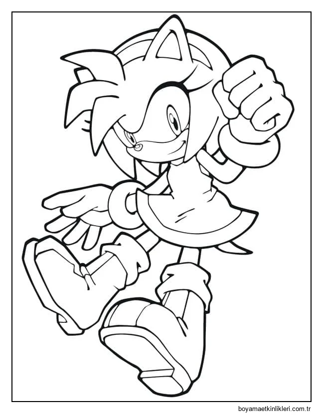 Sonic'ten Amy Rose