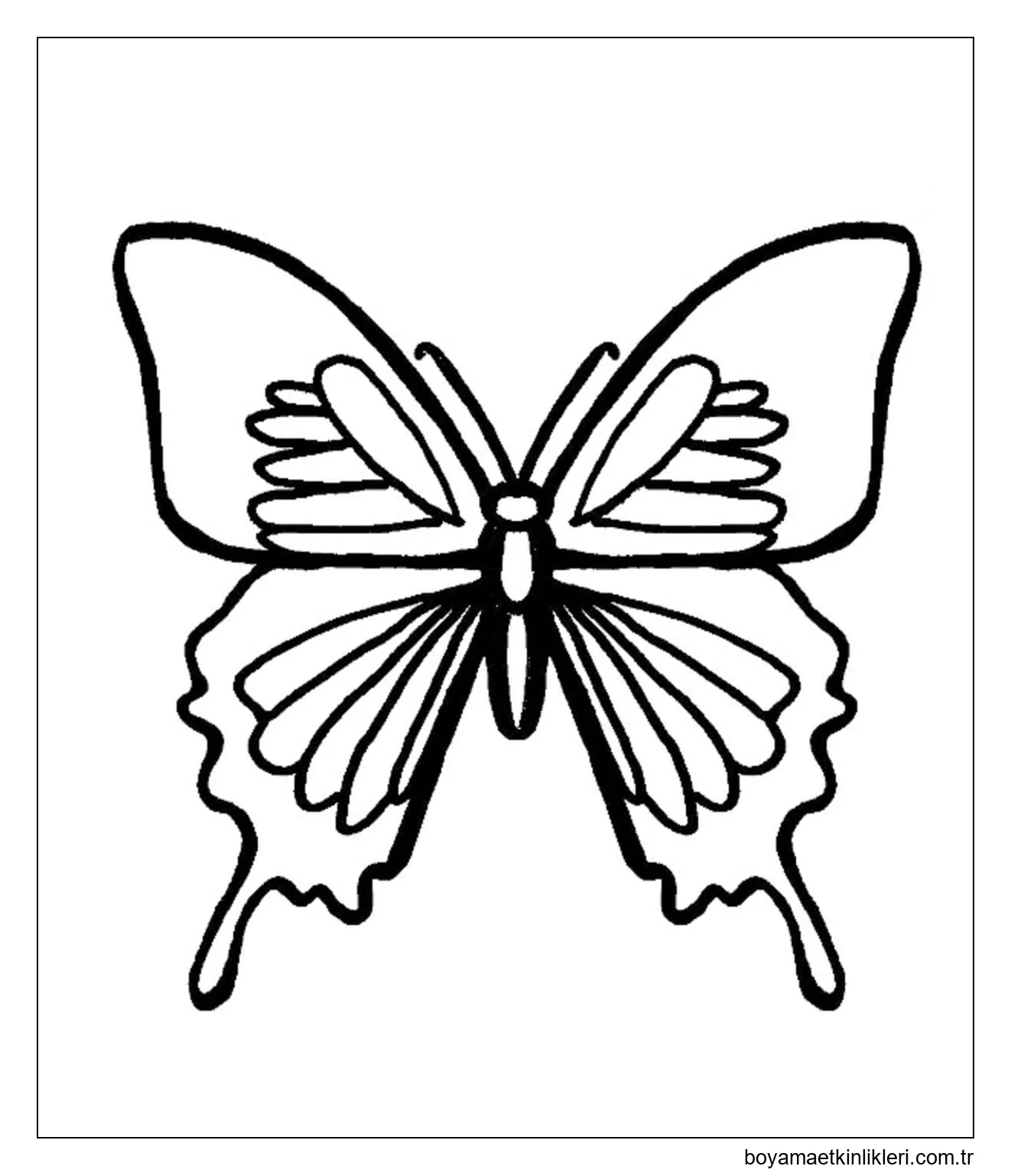 Temel Çizim Kelebek