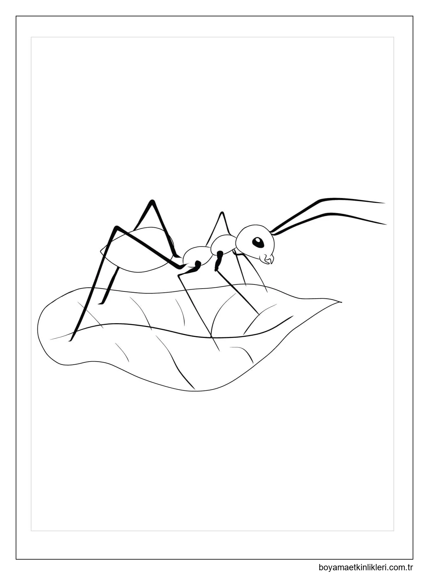 Yaprak Kesici Karınca