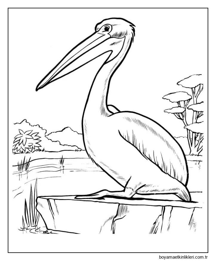 Yazdırılabilir Pelikan