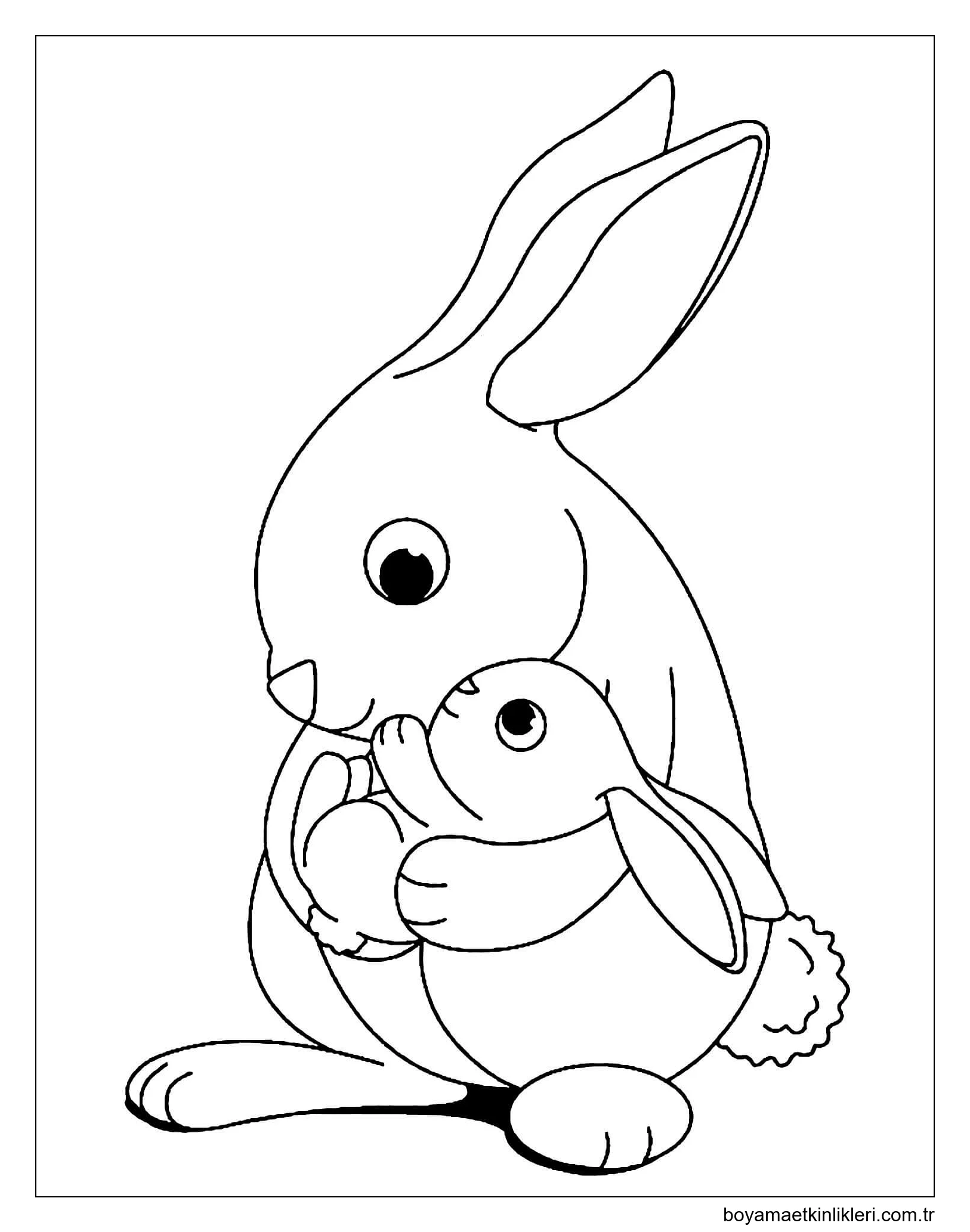 Anne Tavşanı bir Bebek Tavşanı Tutar