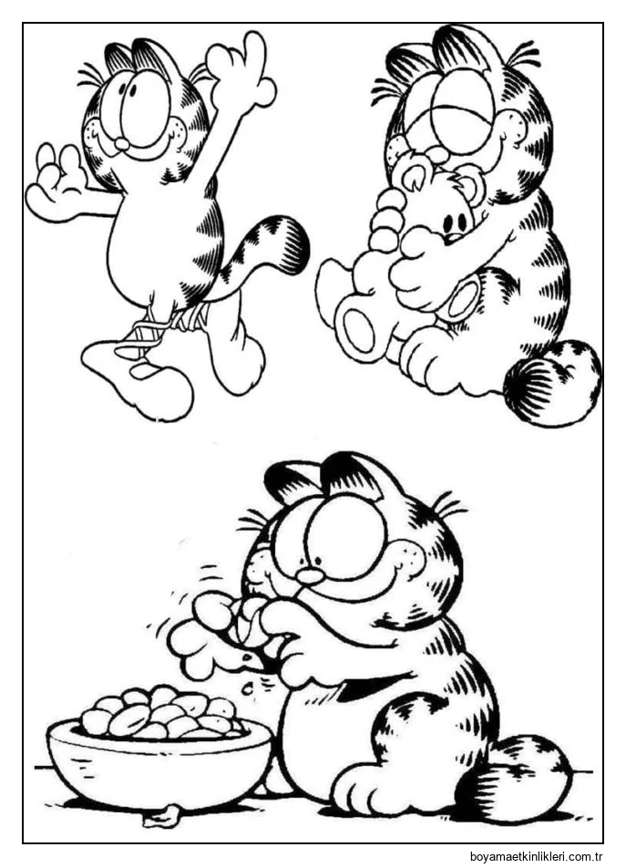 Garfield'ın sınıfları