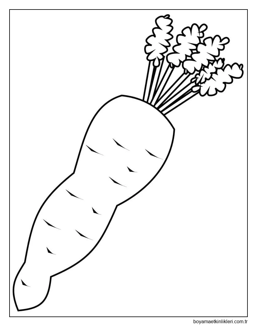 Havuç ücretsiz Resimler