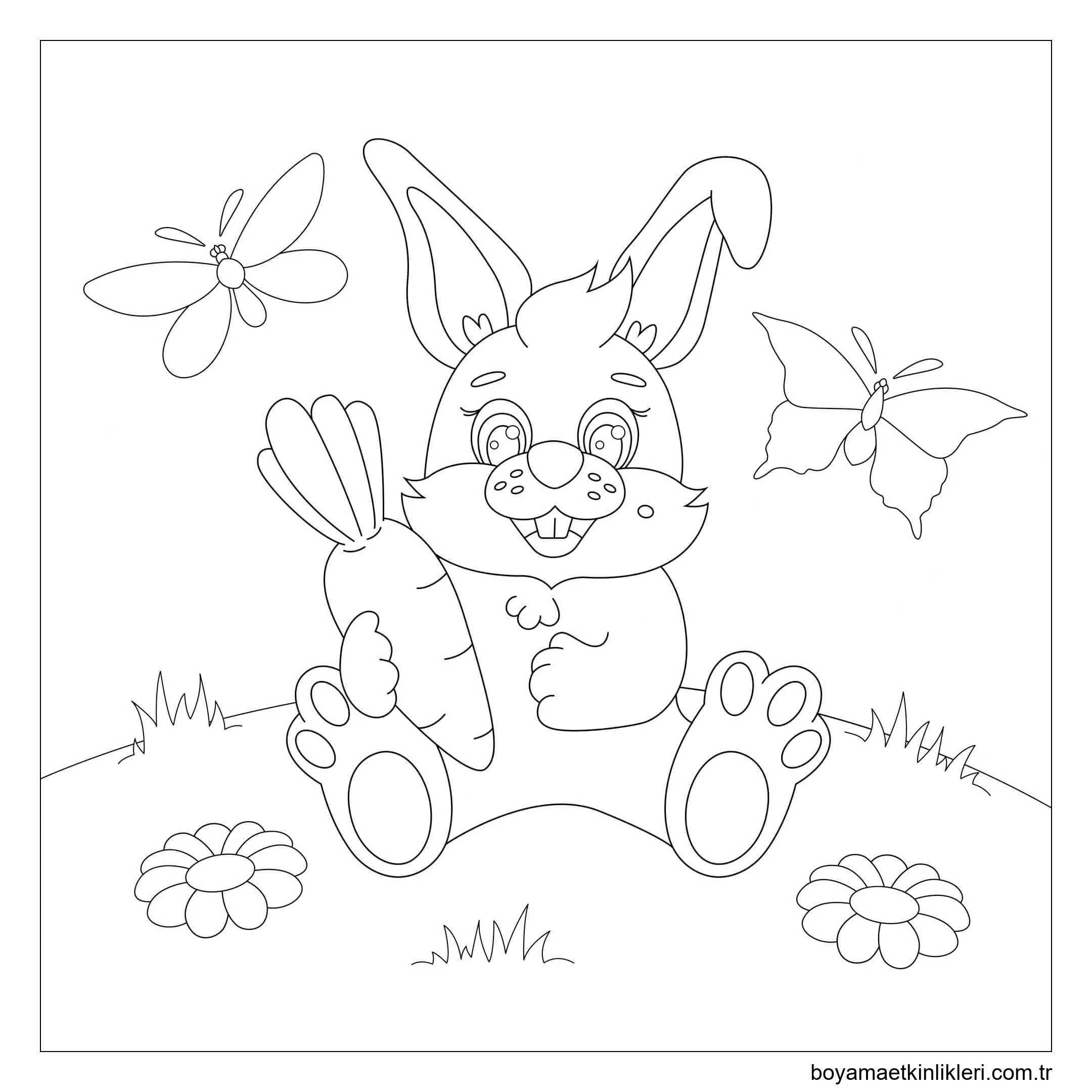 Kelebek ile Havuç Tutan Tavşan