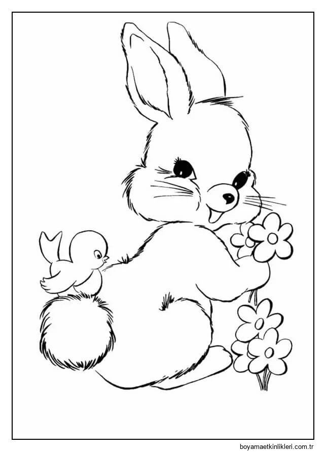 Kuş ve çiçek ile Tavşan