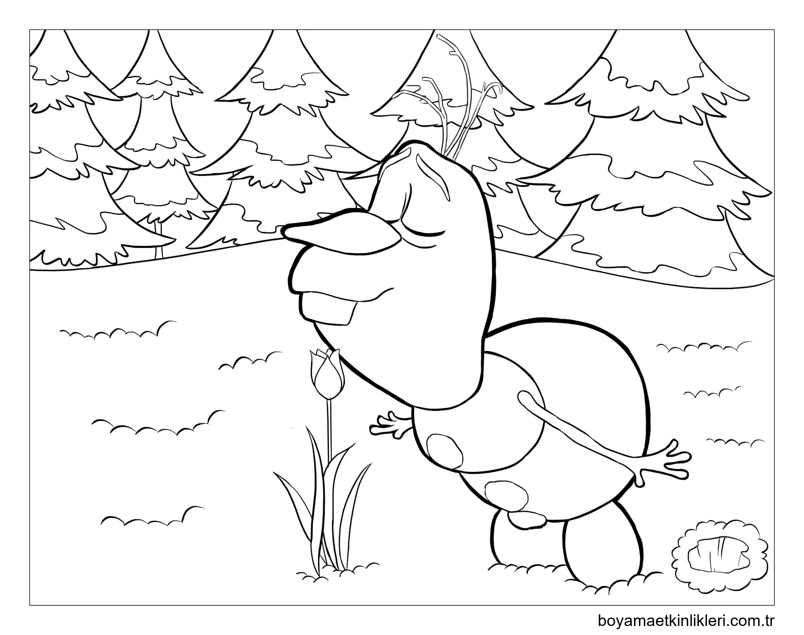 Olaf çiçekleri Kokla