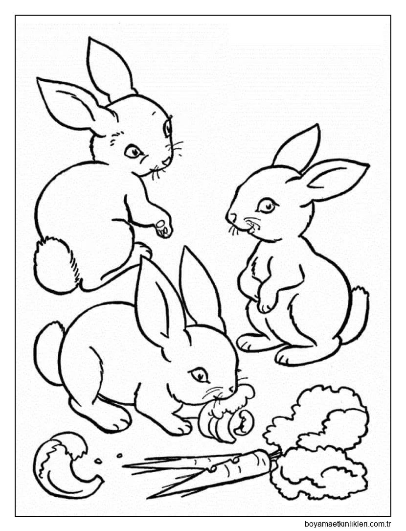 Sevimli üç Tavşan ve Havuç