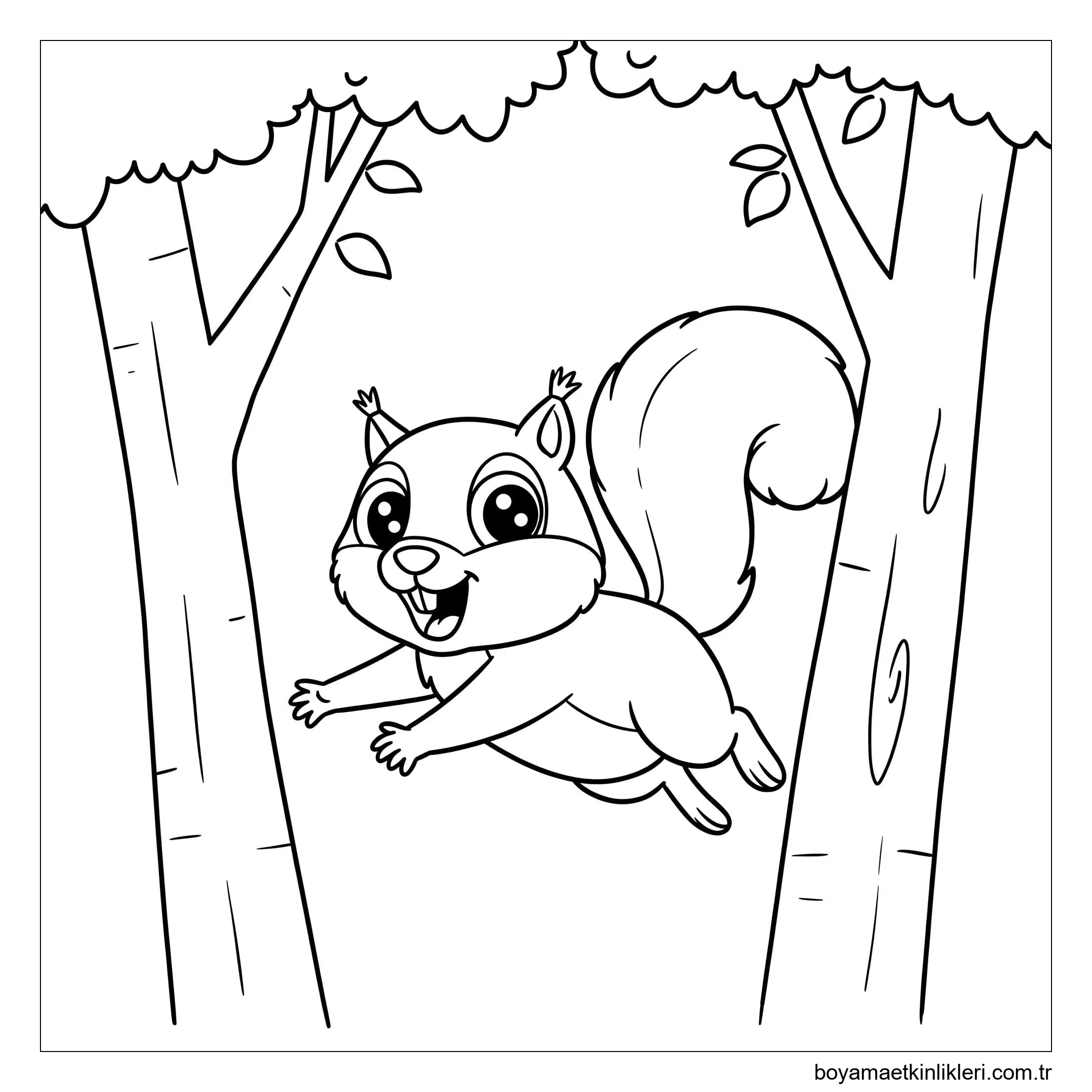 Sincap çizimi kolay