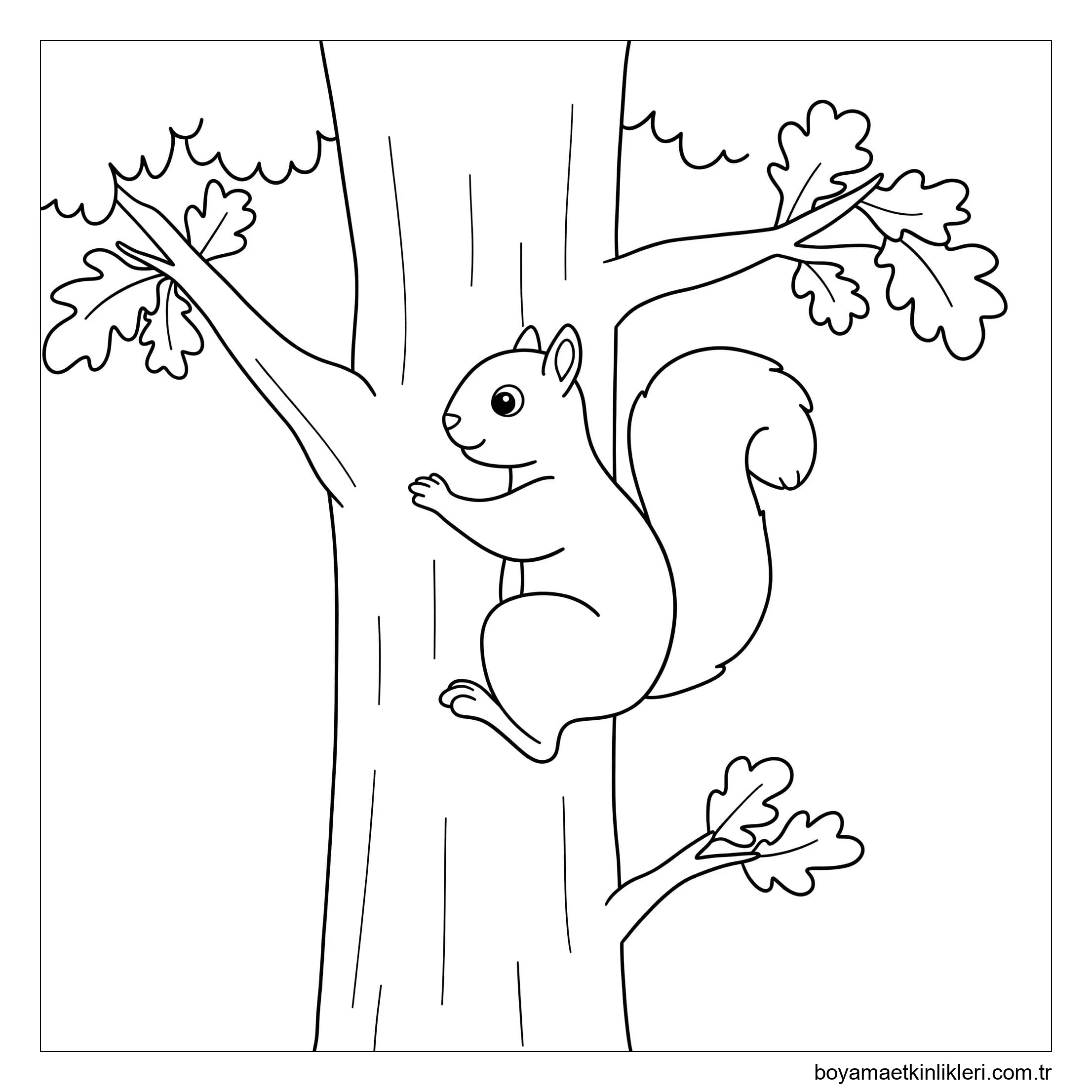 Sincap çizimi yazdırılabilir