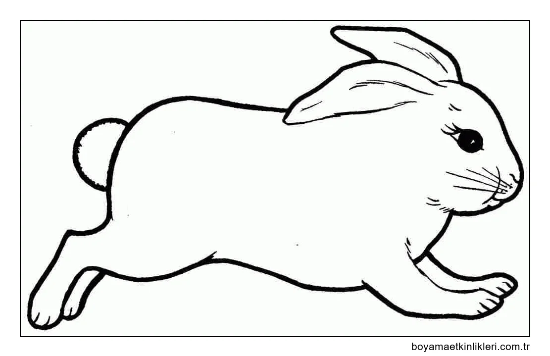 Tavşan Koşma