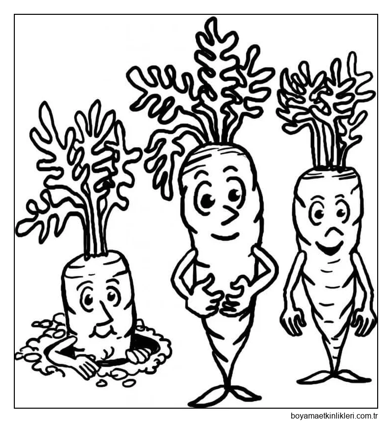 Üç Çizgi Film Havuç