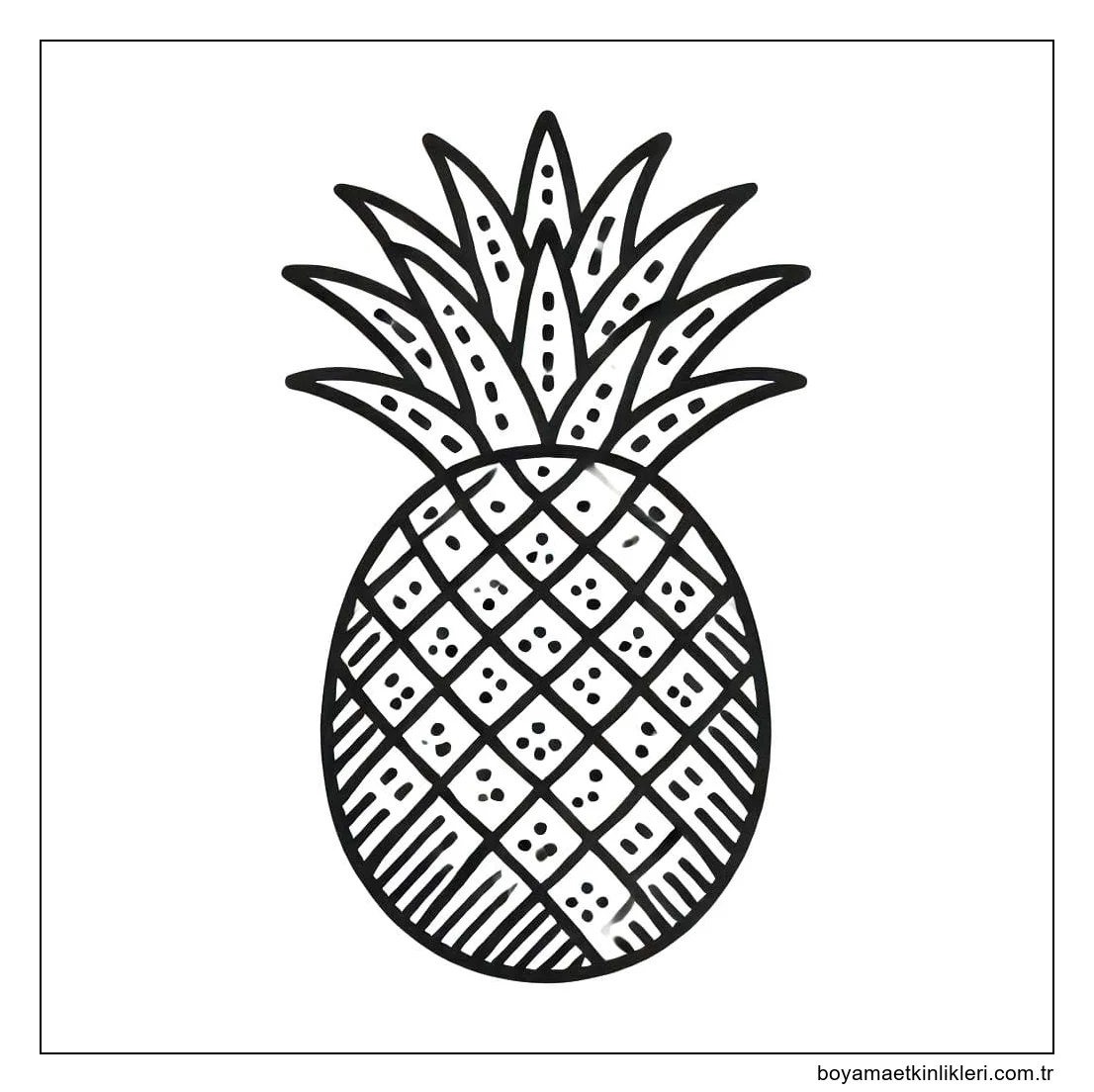 Ananas temel çizimi