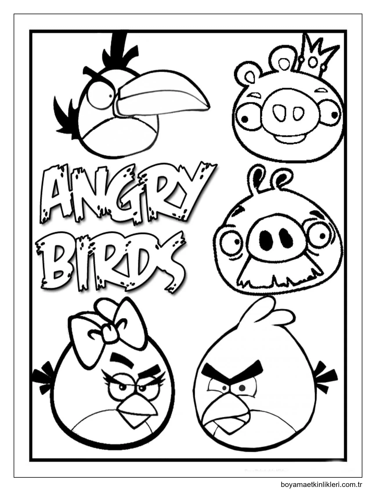 Angry Birds (31)