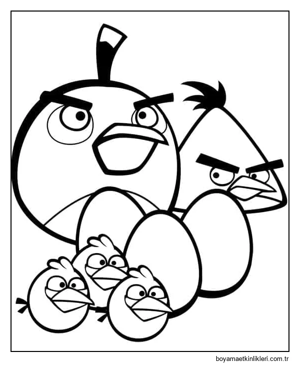 Angry Birds (9)