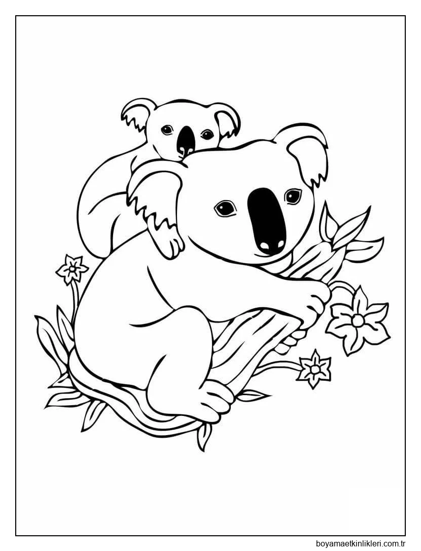 Anne Koala ile Bebek Koala