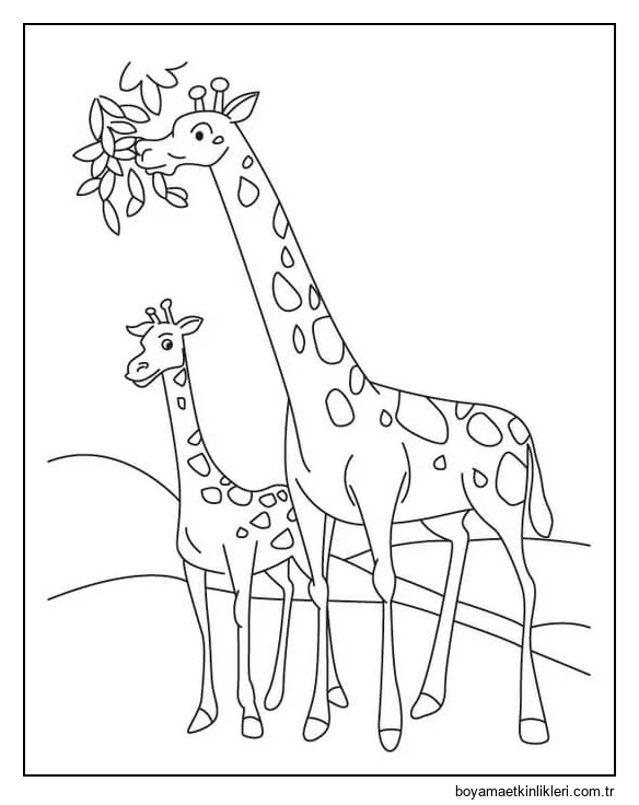 Anne Zürafa Bebek Zürafa ile Yemek