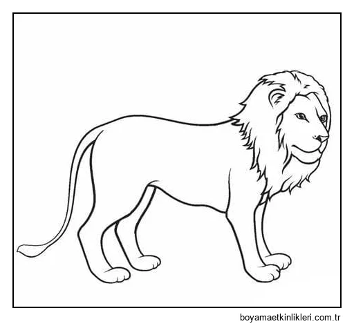 Aslan Ücretsiz Resimler Ücretsiz