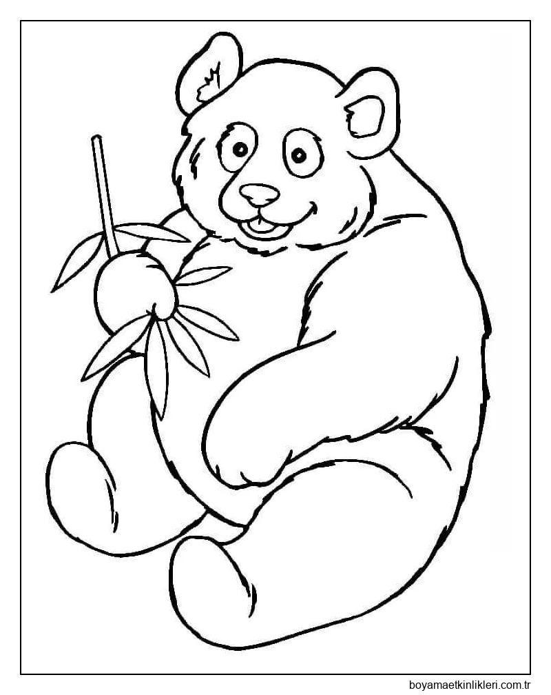 Bambu Yiyen Dev Panda