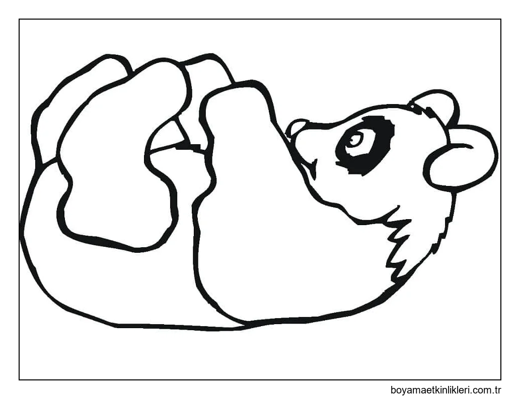 Baş Aşağı Asılı Dev Panda