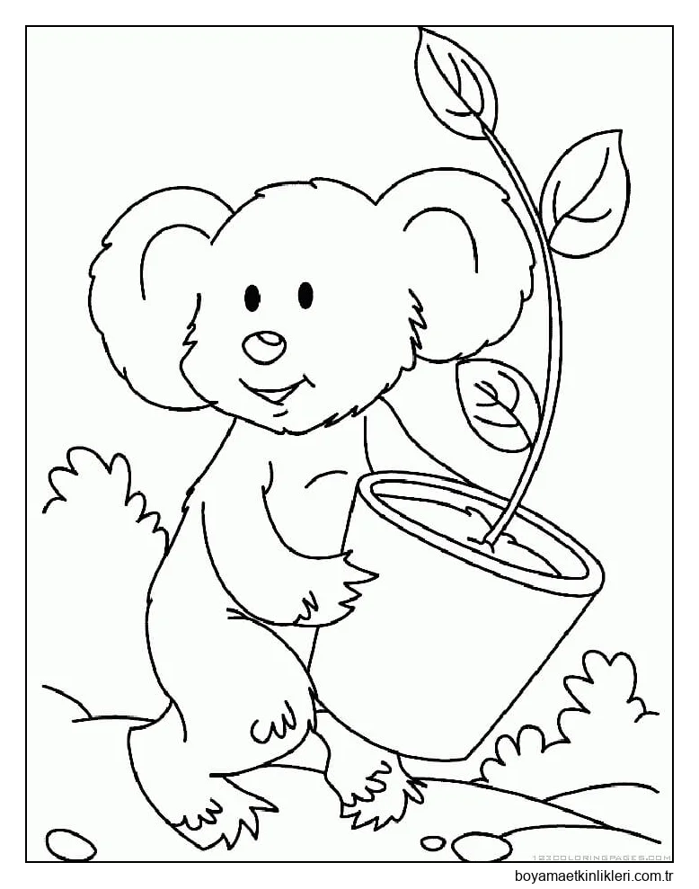 Bir saksı Bitkisi Tutan Koala