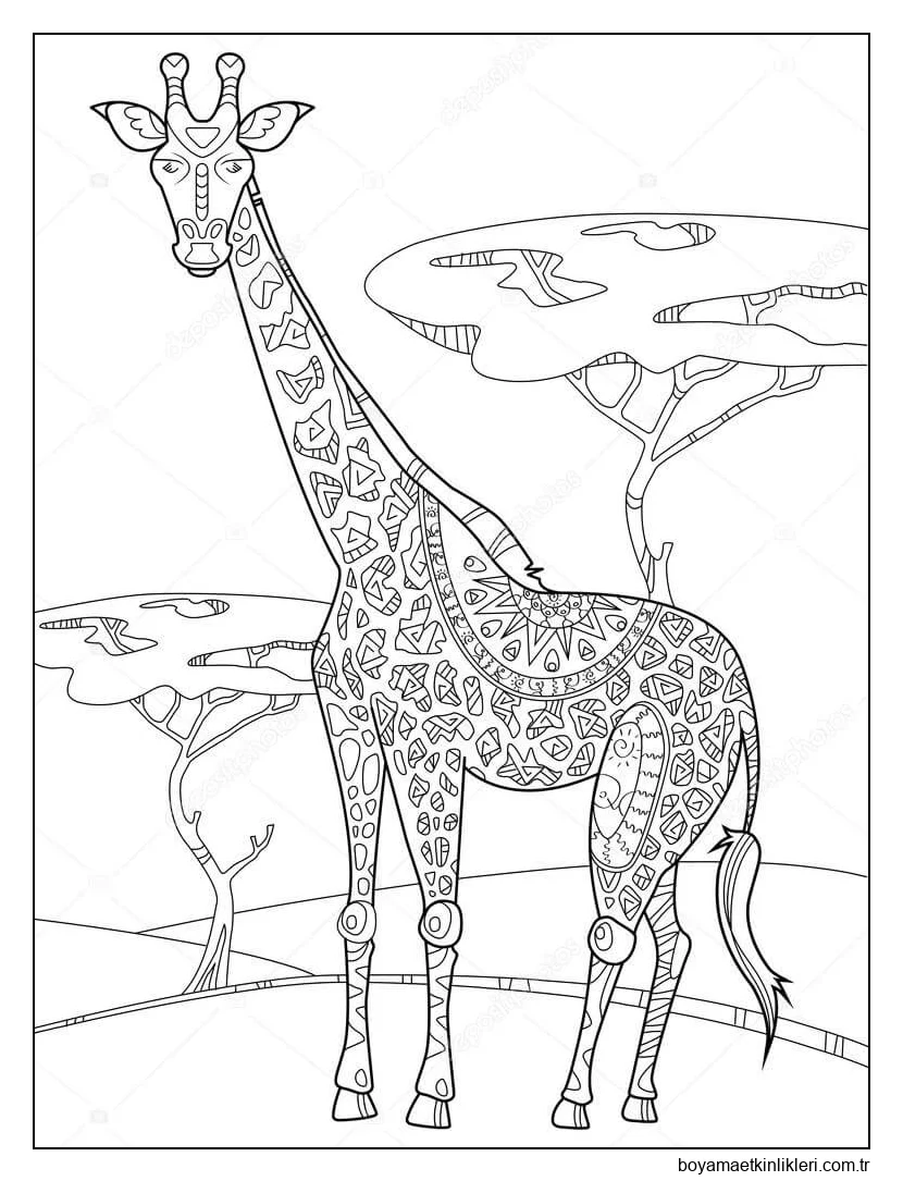 Çayırda duran Zürafa