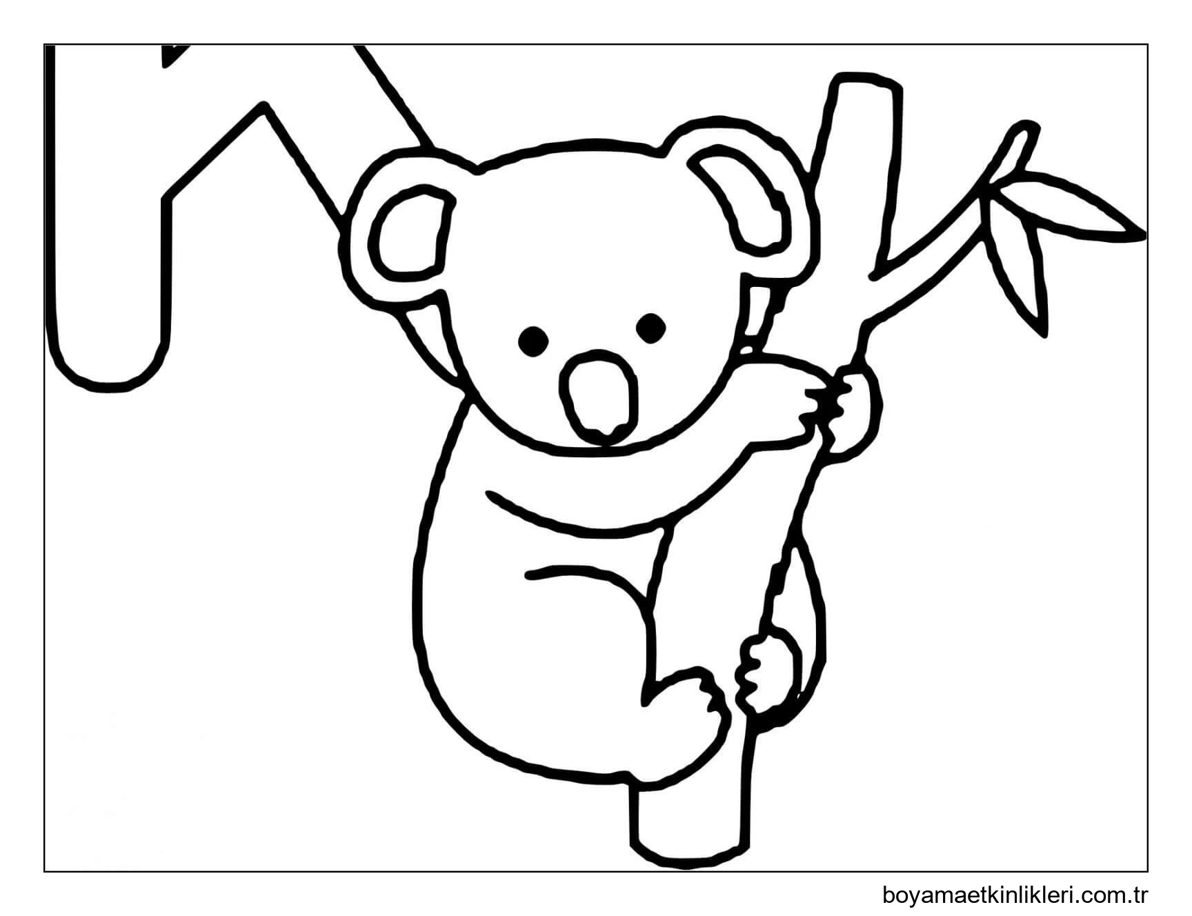 Çizim Koala