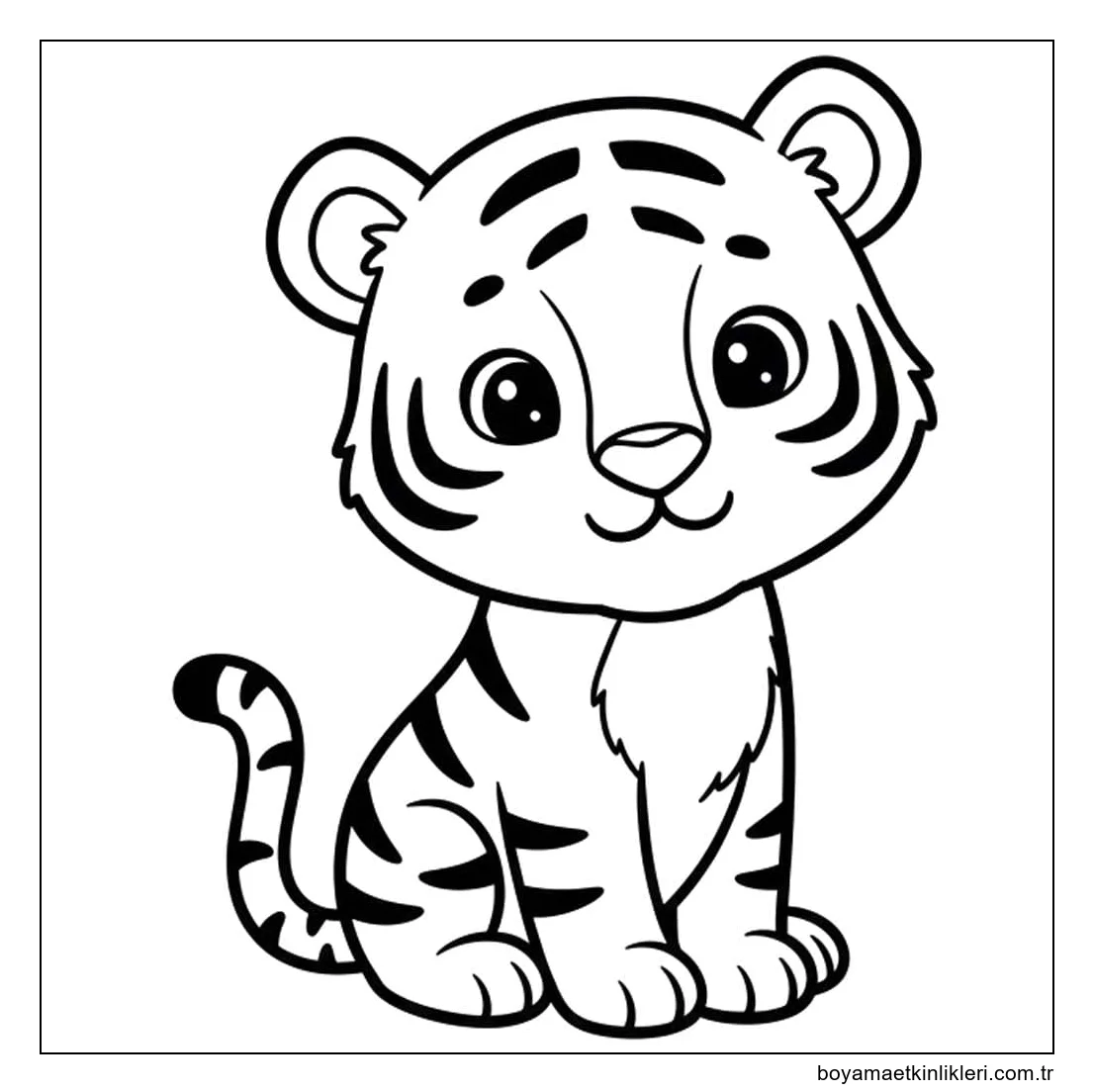 Çizmek Kaplan 1