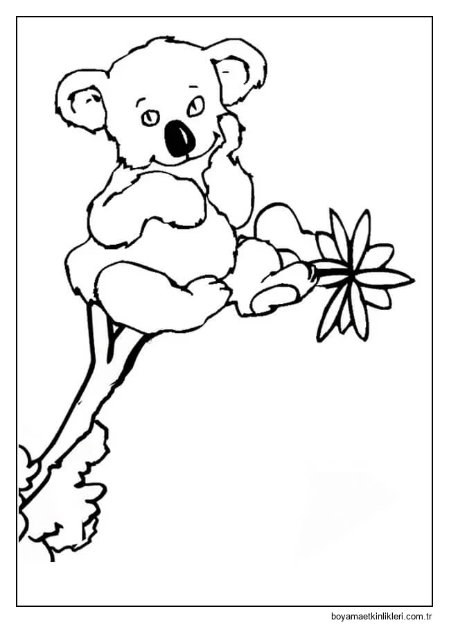 Dal Ağacın Üzerinde Oturan Koala