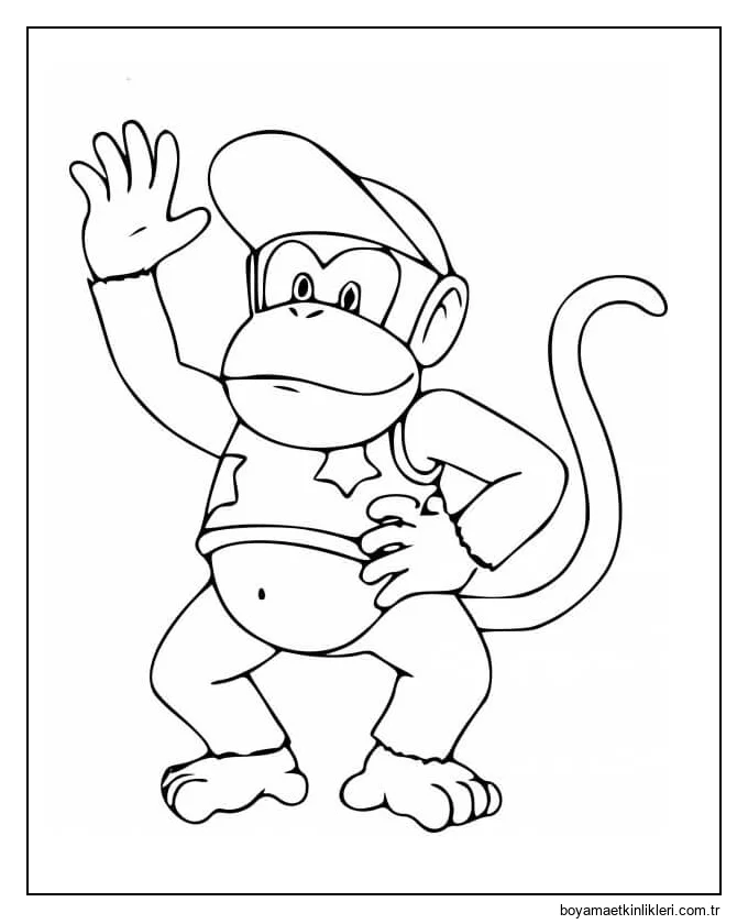 Diddy Kong Elini Sallayarak