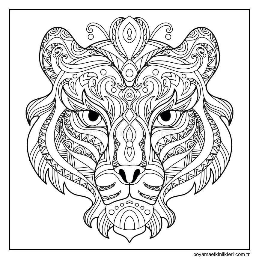 Dolaştırmak Kaplan Kafası