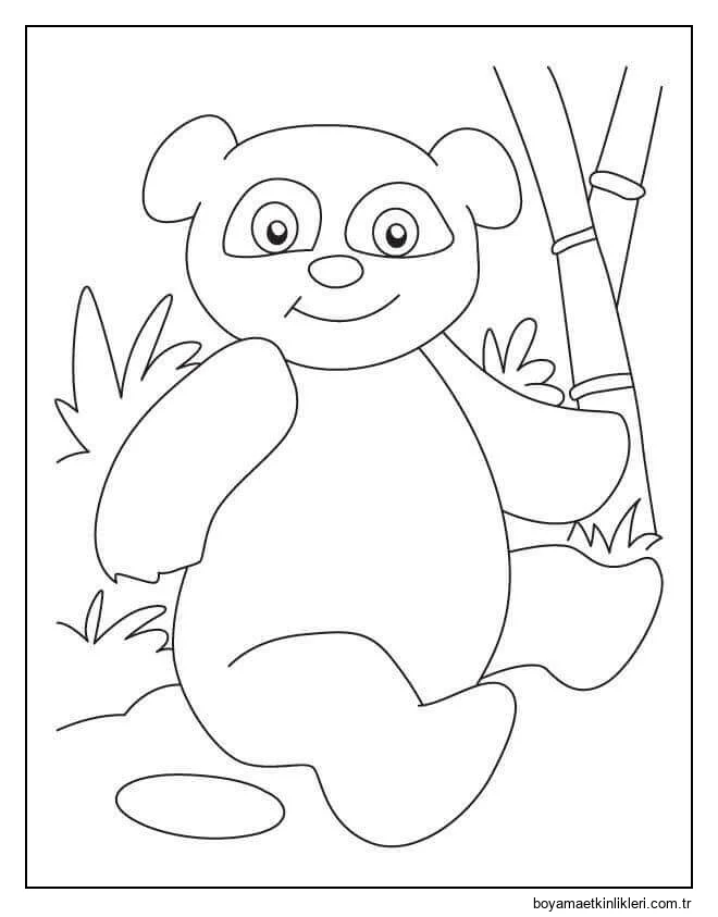 Gülümseyen Ve Oturan Panda