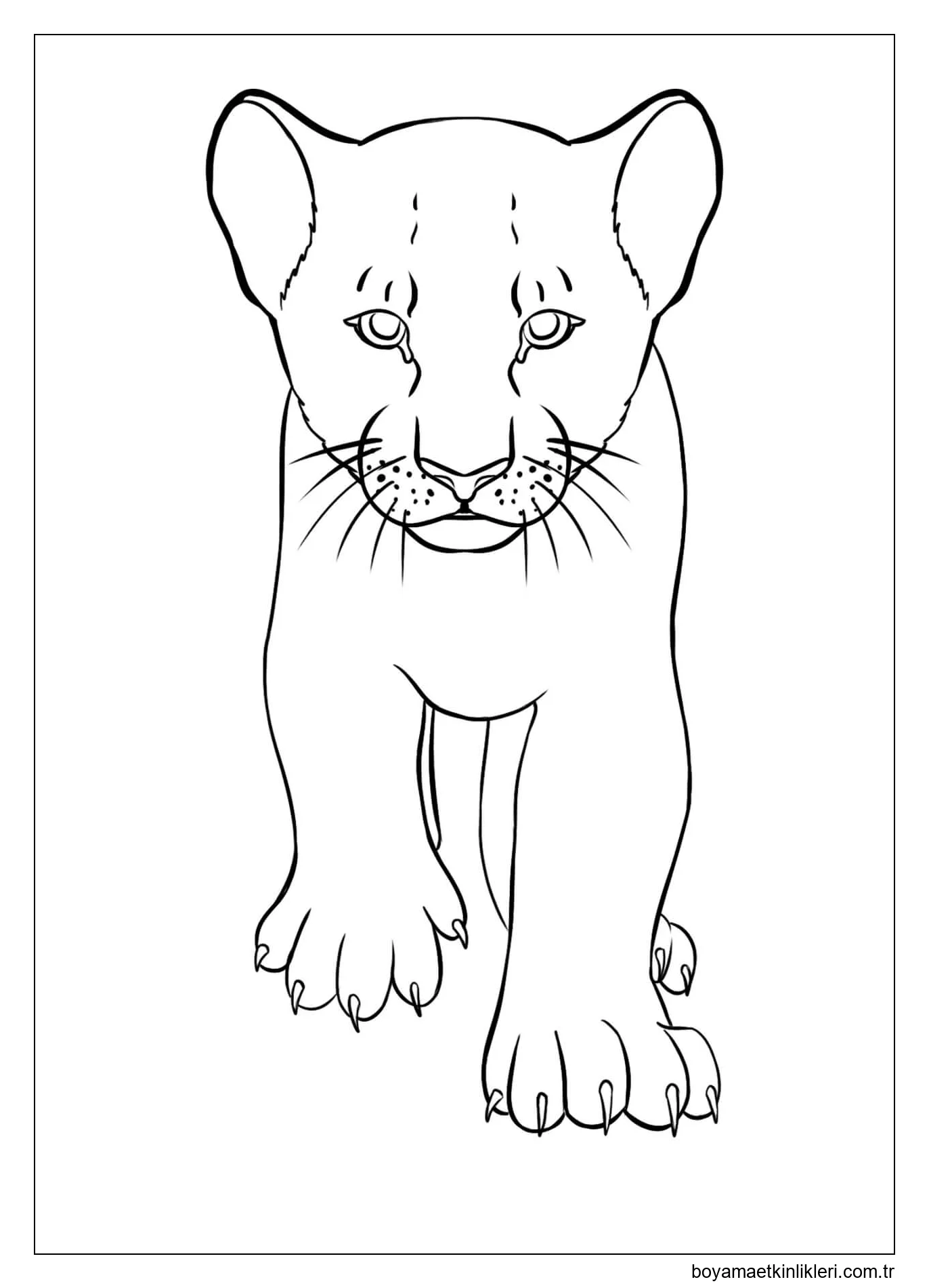 Harika Aslan Yürüyüşü