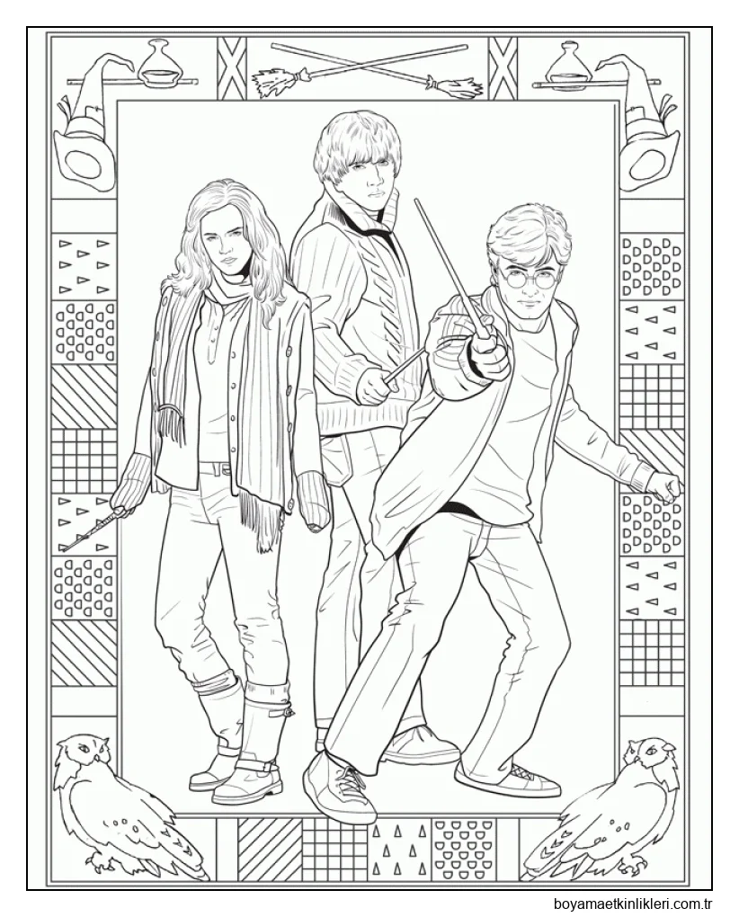 Harry, Hermione ve Ron