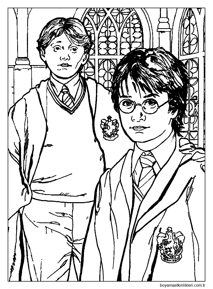 Harry Potter ve Ron Weasley