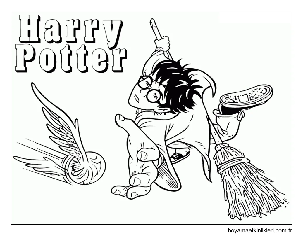 Harry Quidditch Oynarken