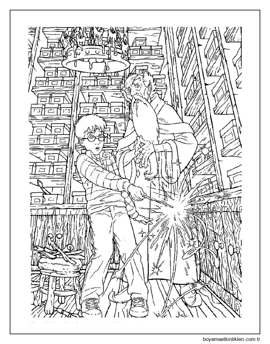 Harry Sihirli Değnek Seçiyor