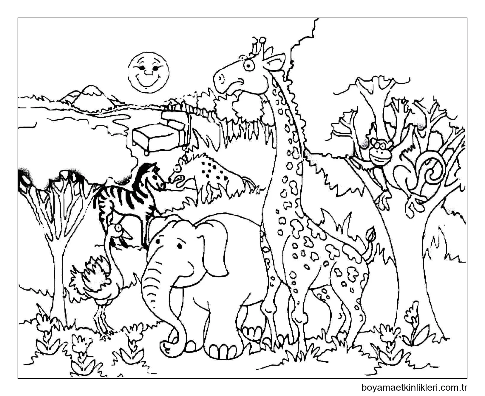 Hayvanat Bahçesinde Zürafa ve Hayvanlar