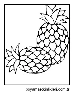 Iki Ananas
