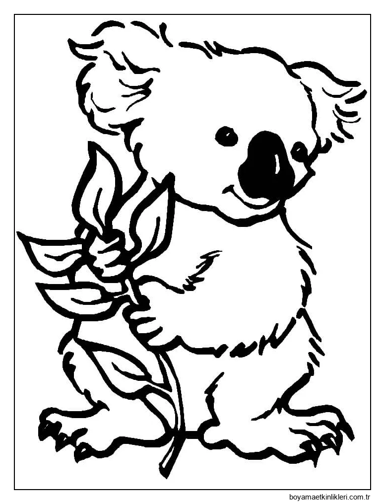 Koala Tutuyor dal Ağacı