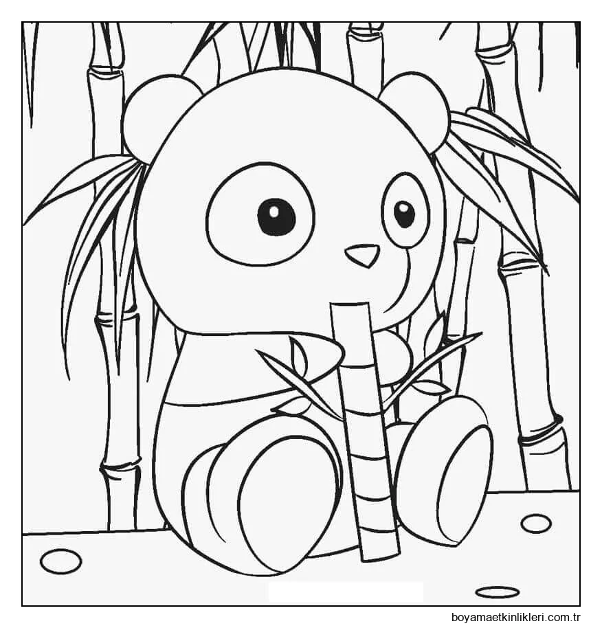 Küçük Panda