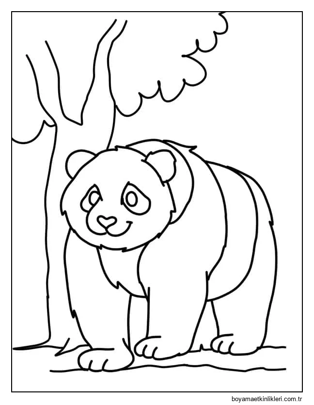 Panda resmi çiz