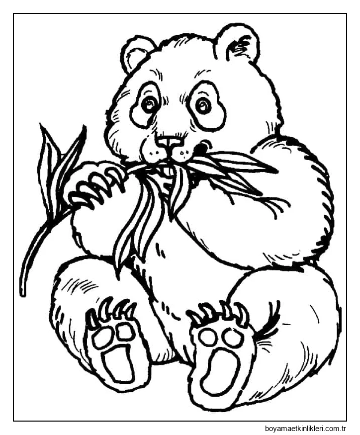 Panda'yı ücretsiz çiz
