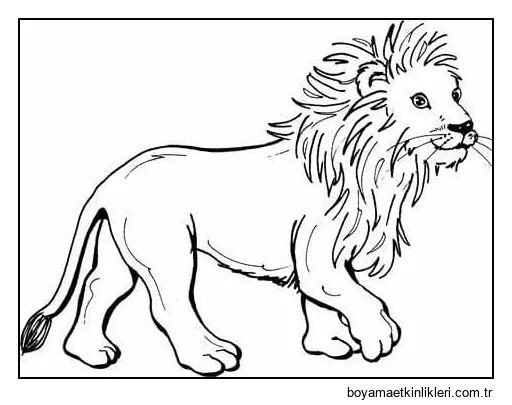 Sevimli Aslan Ücretsiz