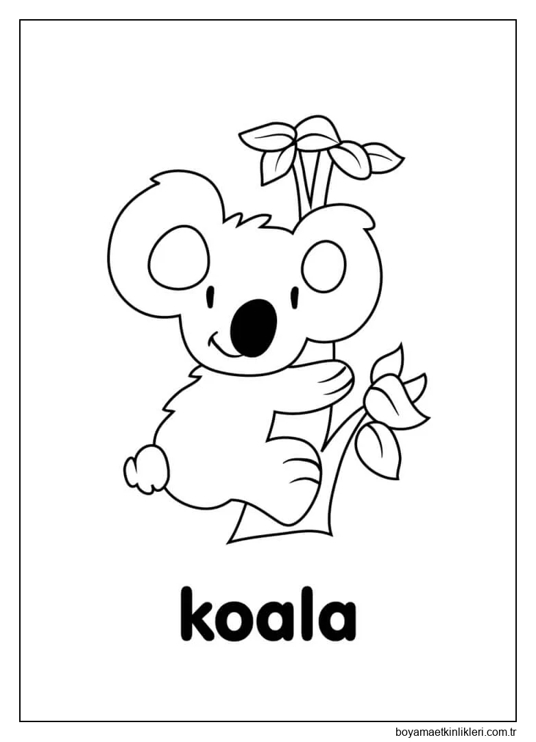 Sevimli Koala
